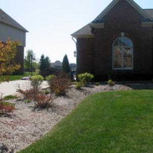 Mulch Before Photo