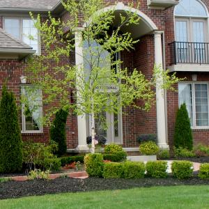 Mulch After Photo (example 2)
