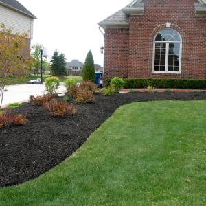 Mulch After Photo