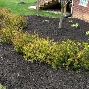 Mulch Photo: After