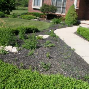 Spring Cleanup Before Photo