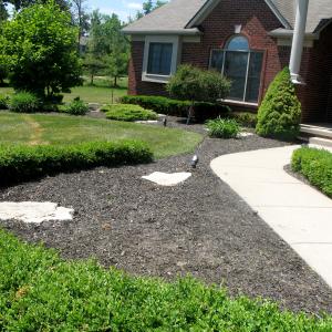 Spring Cleanup After Photo