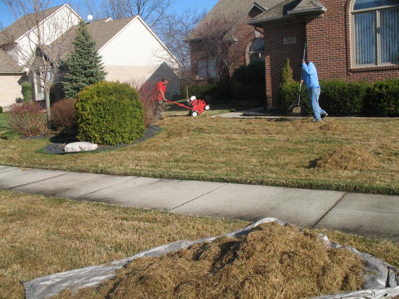 Power Raking